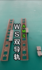 WS双导轨